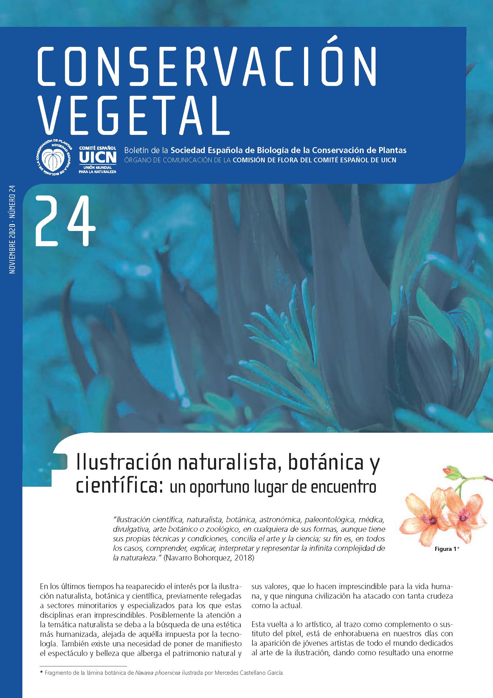 Portada del número 24 de Conservación Vegetal